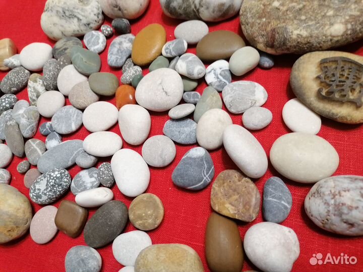 Ракушки, декоративные камушки