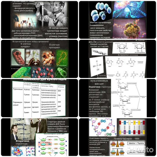 Создание презентаций