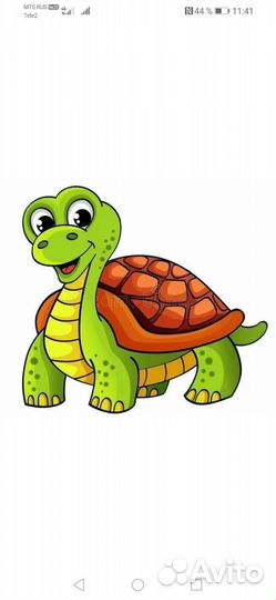 Черепашки