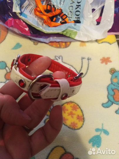 Одежда для щенка