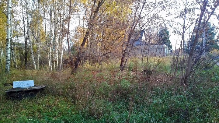 Участок 10 сот. (ИЖС)