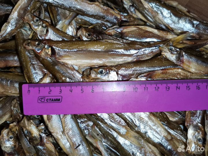 Опт речная рыба