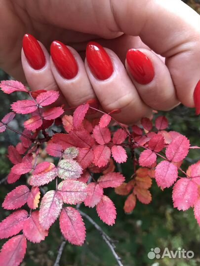 Маникюр с покрытием. Стерильно