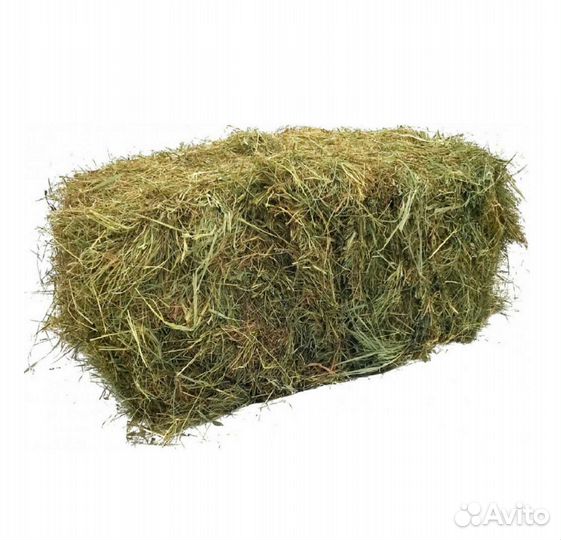 Сено Луговое