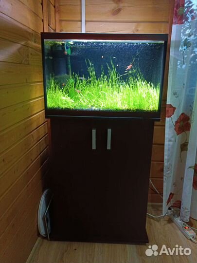 Аквариум