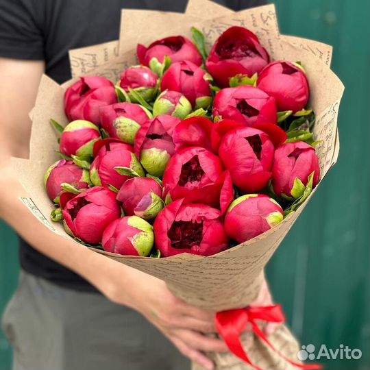 Пионы букет / цветы пионы / букет из пионы