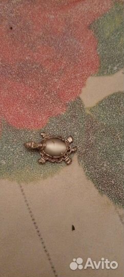 Черепашка нефрит