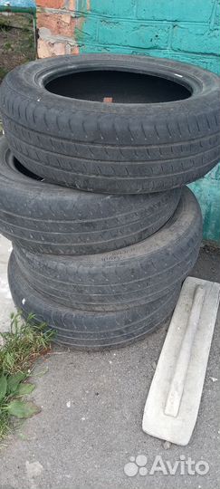 Accelera 651 R15 204ZR