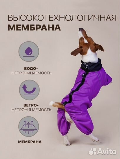 Дождевик для собак