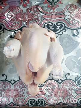 Экомясо, гуси,утки, курица,перепела, цесарка