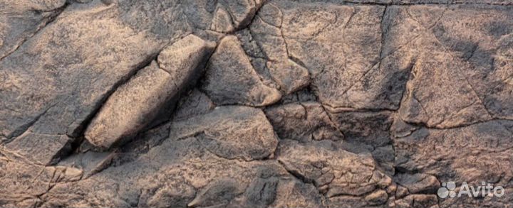 Аквариумный рельефный 3D фон 