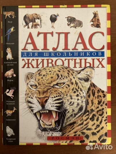 Книги для школьников