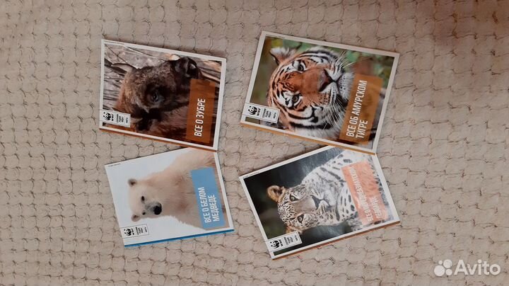 Мишка,собака,зубр+белый медведь,драконы