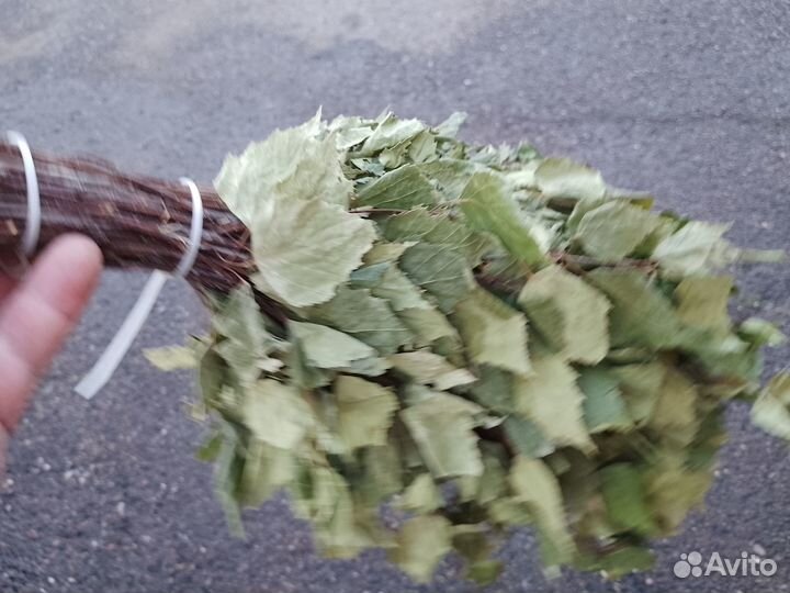 Веники березовые