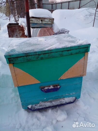 Улья для пчел