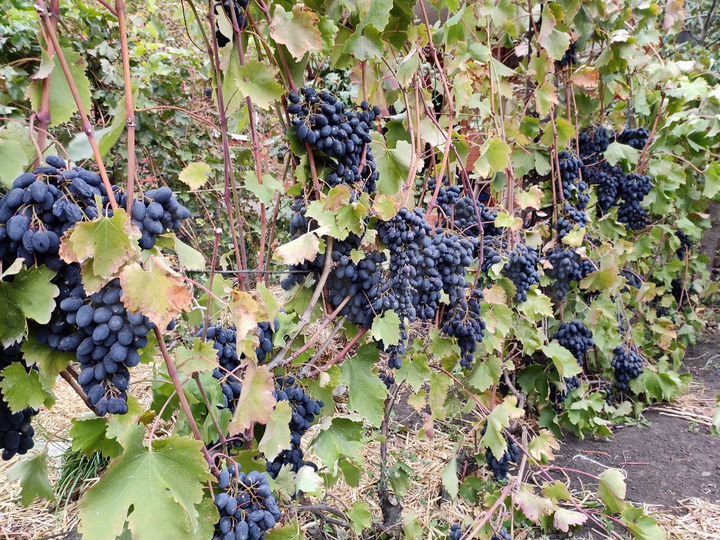 Дом 145 м² на участке 15 сот.