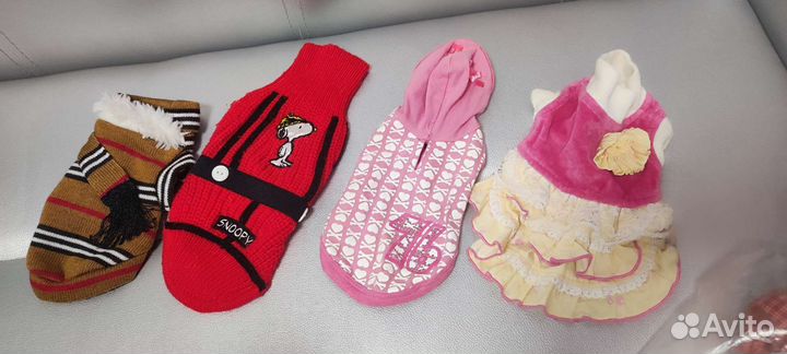 Одежда для маленьких собак