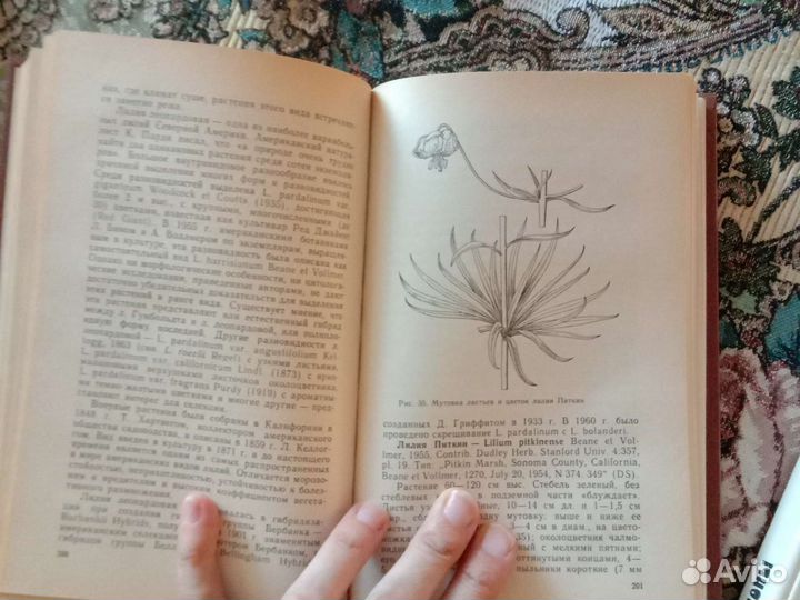 Книги для дачника