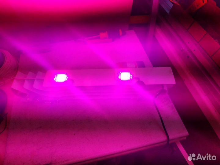 Фитолампа led 100 watt