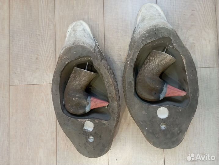 Чучела белолобых гусей