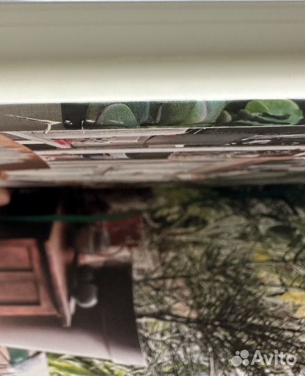 Книга Urban Jungle