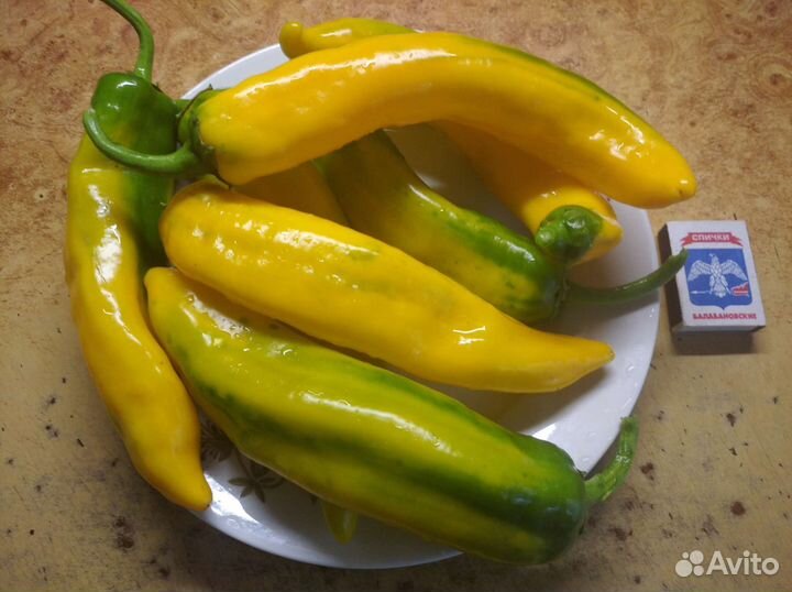 Рассада, семена табака