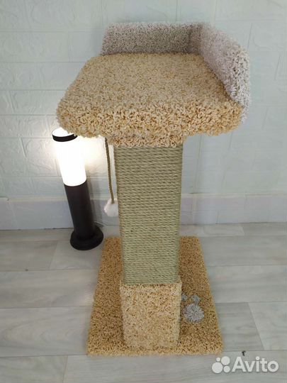 Когтеточка