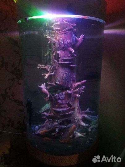 Аквариум целиндрический