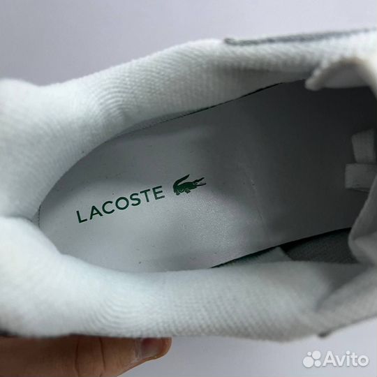 Мужские кроссовки Lacoste белые