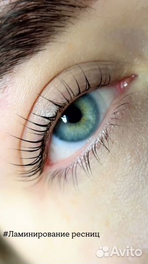 Обучение по ламинированию ресниц