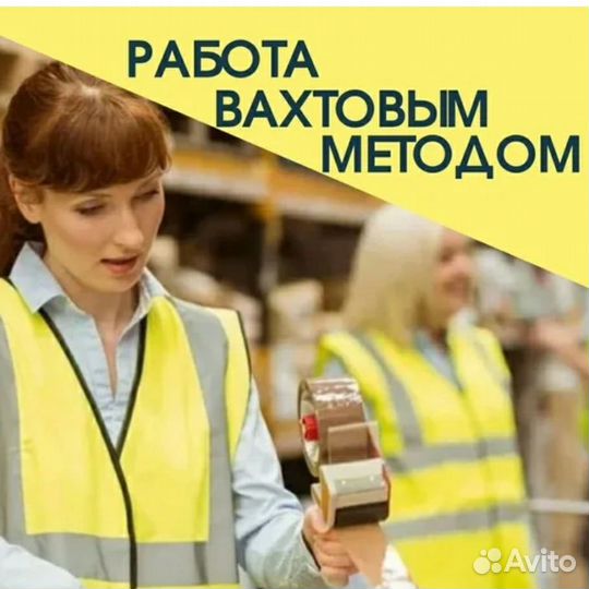 Уборщик самолётов аэропорт Шереметьево Вахта 15/18