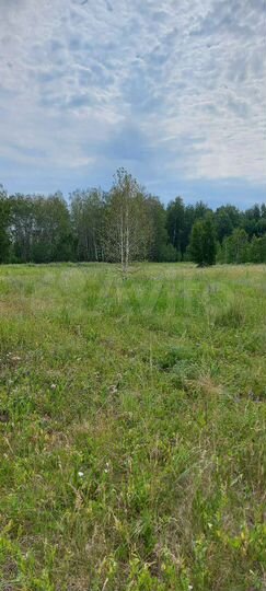 Участок 9,2 га (СНТ, ДНП)