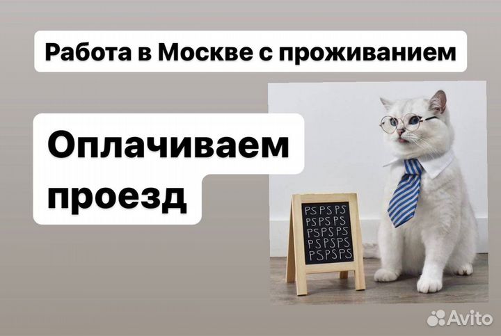 Сотрудники склада вахта для студентов