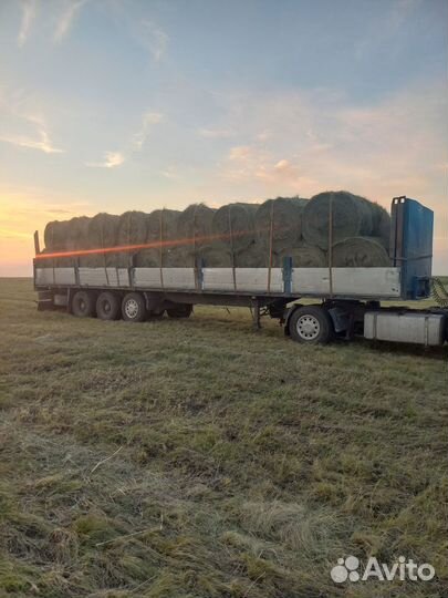 Продам сено в рулонах