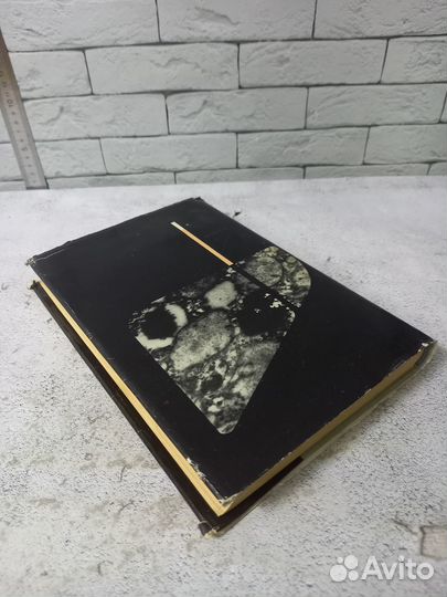 Успехи гепатологии. Выпуск 3