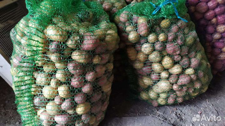 Картофель мелкий