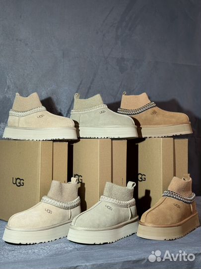 Угги женские Ugg tazz Tasman