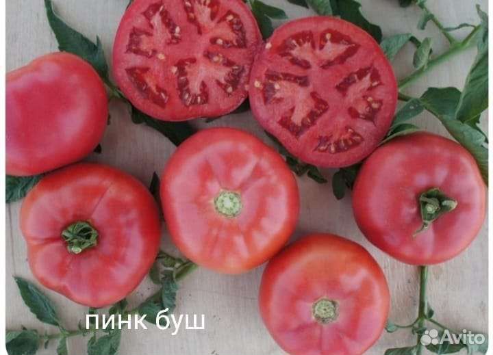 Семена томата Пинк буш f1 10 шт