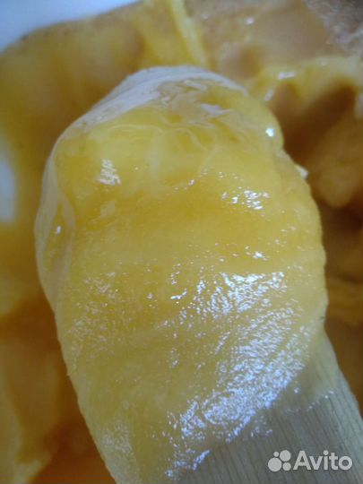 Мед Башкирский