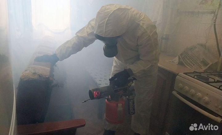 Средство для Уничтожения клопов, тараканов, крыс Дезинфекции