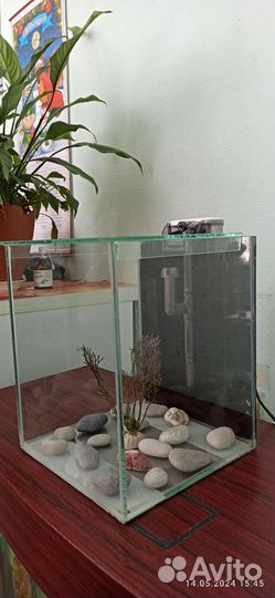 Аквариум