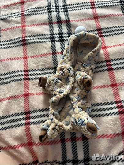 Одежда для собак