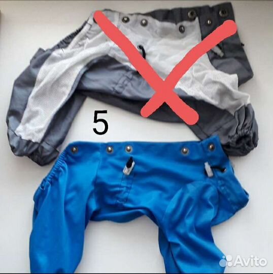 Комбинезоны для мелких собак