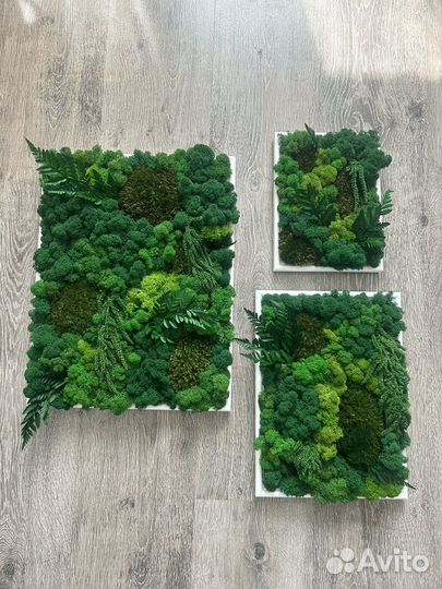 Интерьерные картины