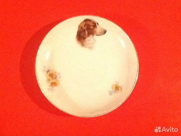 Тарелка Кузнецов