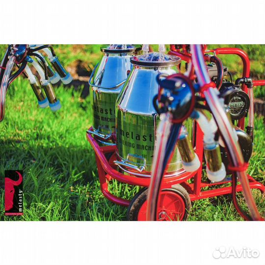 Доильный аппарат для коров Меласти Melasty TK2-2PS