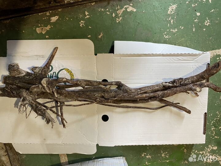 Коряги аквариум террариум дрифт вуд морской топляк