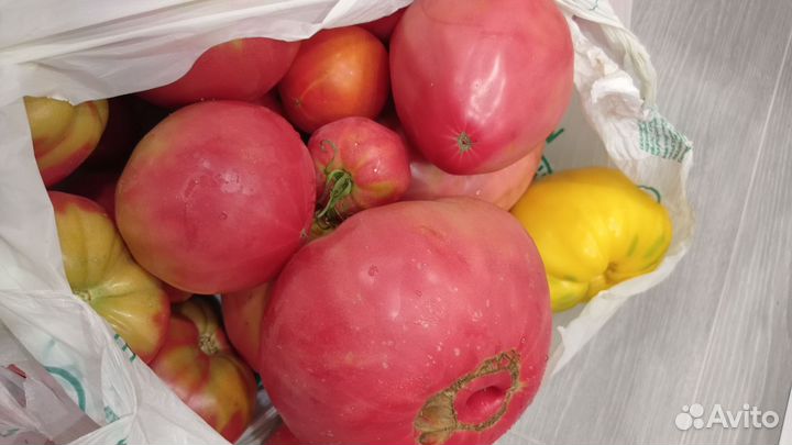 Помидоры домашние