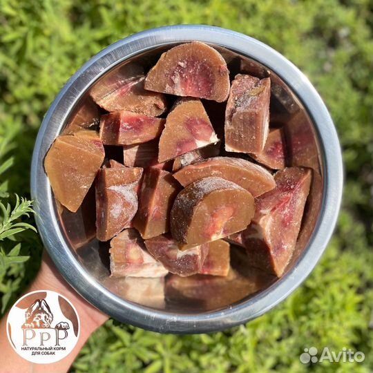 Мясо для собак. Обрезь. Легкое. Корм для собак