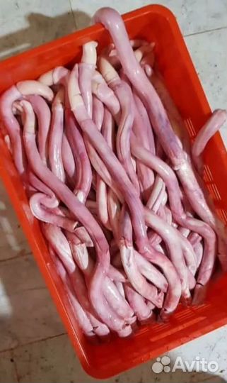 Бычий корень